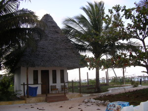 Zanzibar 2008 011
