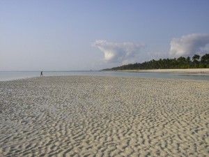 Zanzibar 2008 065 ridim
