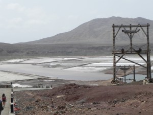 le saline